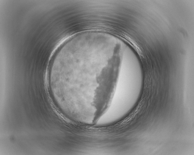 X0000115060788200912071150