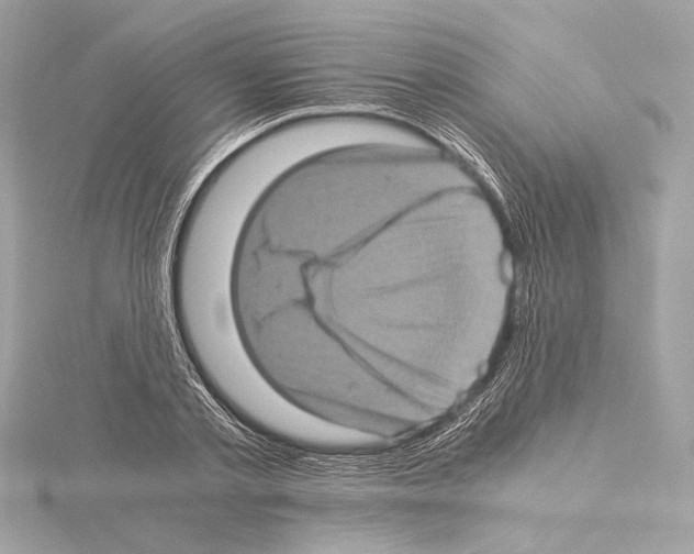 X0000115060789200912071150