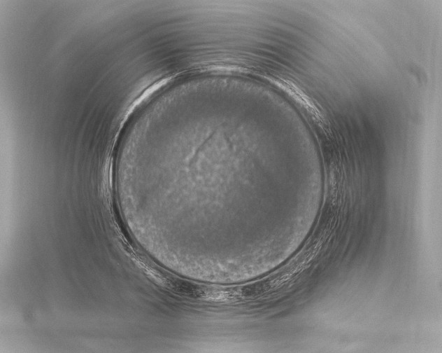 X0000115060790200912071150