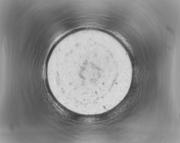 X0000115060791200912071150