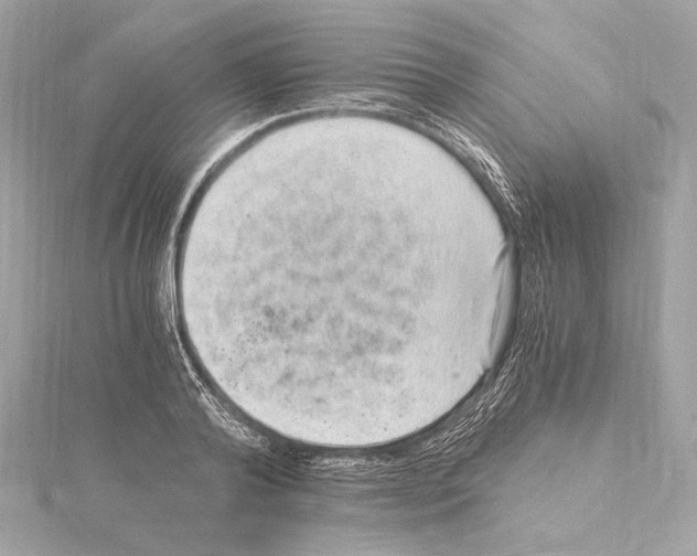 X0000115060792200912071150