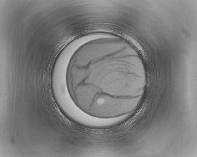 X0000115060793200912071150