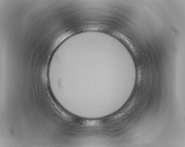 X0000115060794200912071150