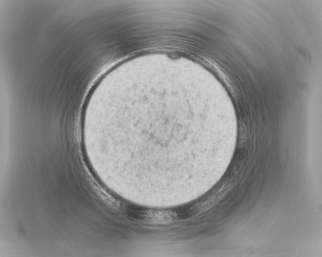 X0000115060795200912071150