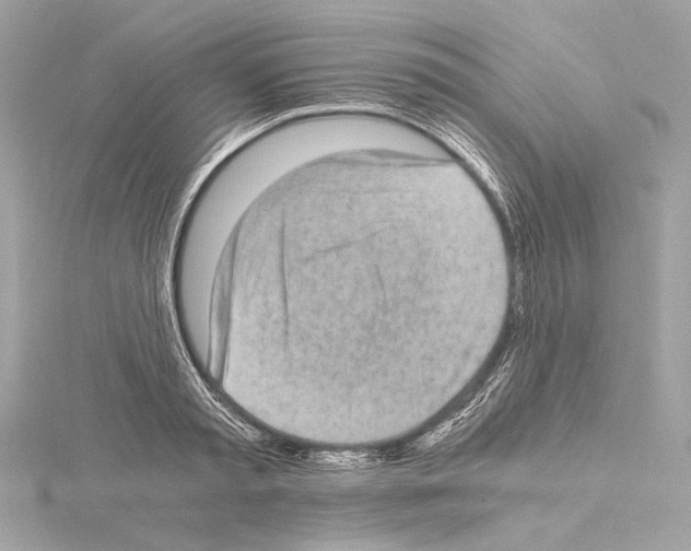 X0000115060797200912071150