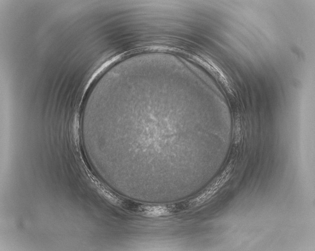 X0000115060798200912071150