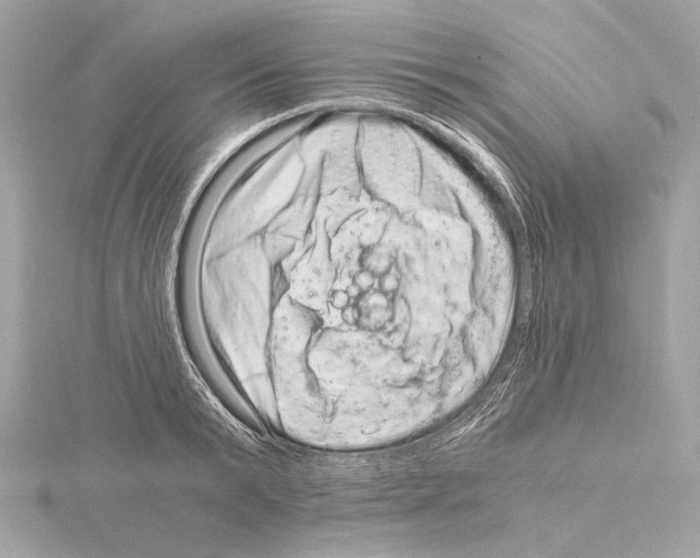 X0000115060799200912071150