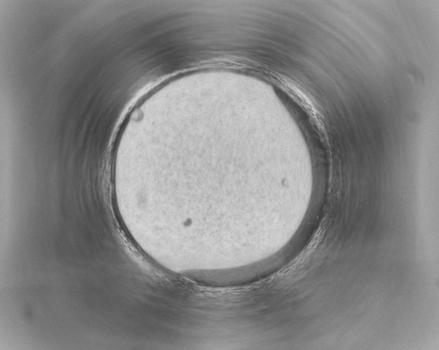 X0000115060800200912071150