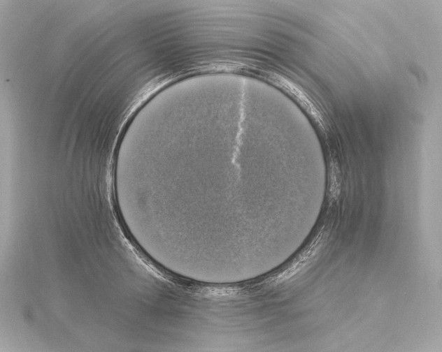 X0000115060802200912071150