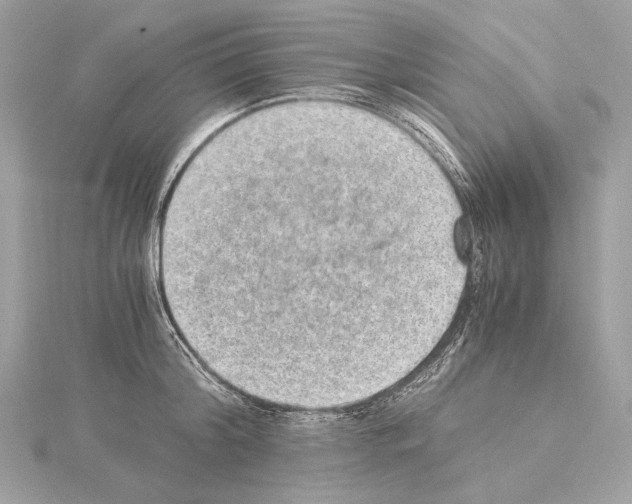 X0000115060804200912071150