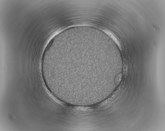 X0000115060805200912071150