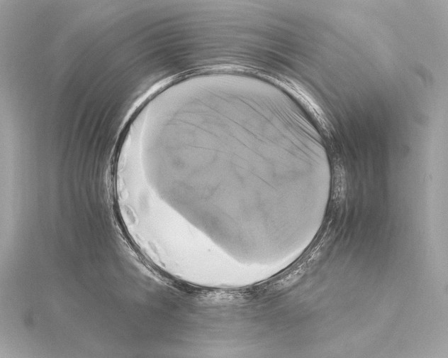 X0000115060806200912071150