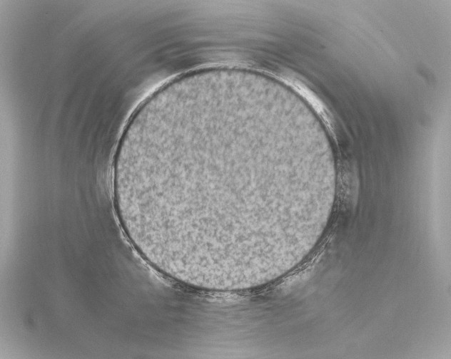 X0000115060807200912071150