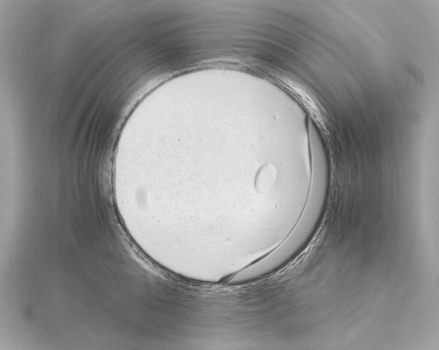 X0000115060808200912071150