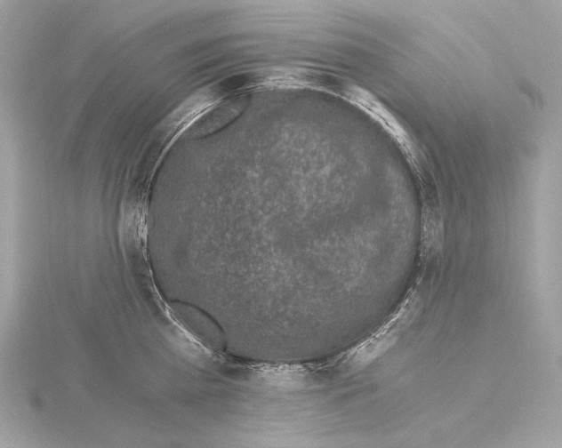 X0000115060809200912071150