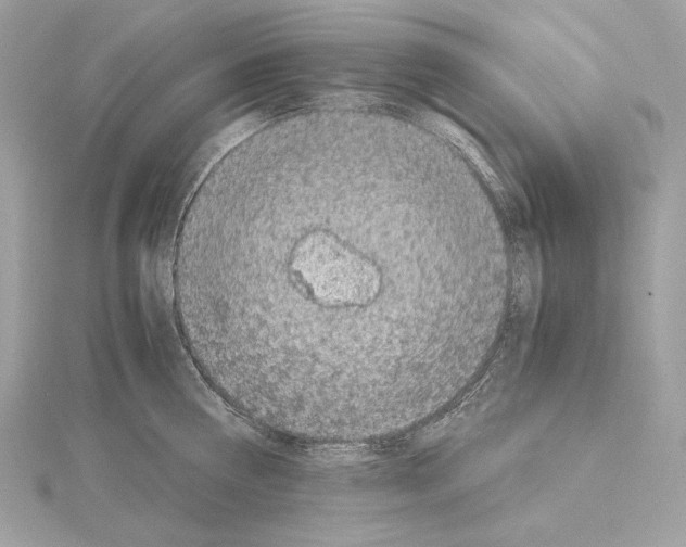 X0000115060810200912071150