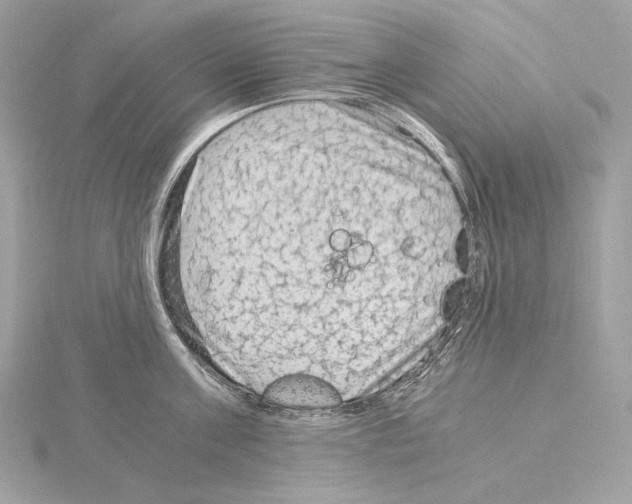 X0000115060811200912071150