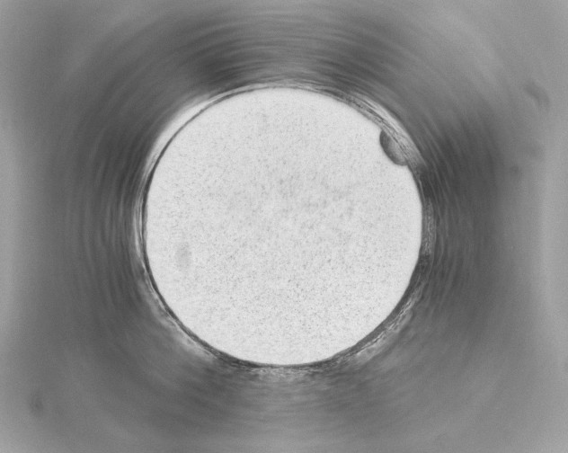 X0000115060812200912071150