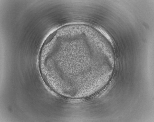 X0000115060813200912071150