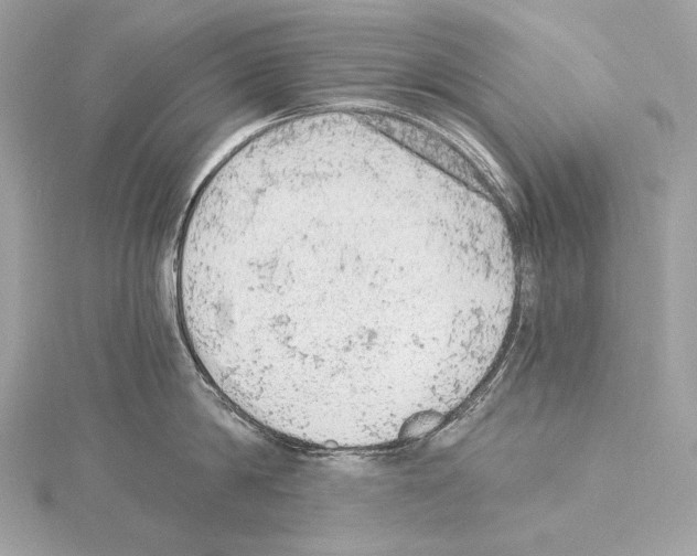 X0000115060814200912071150