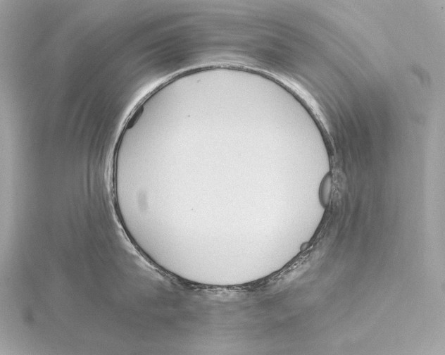 X0000115060815200912071150