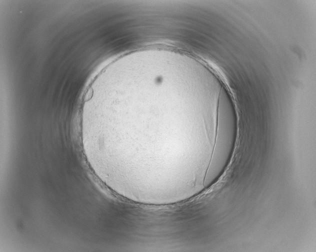 X0000115060816200912071150