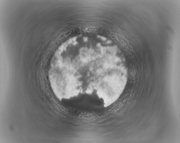 X0000115060817200912071149