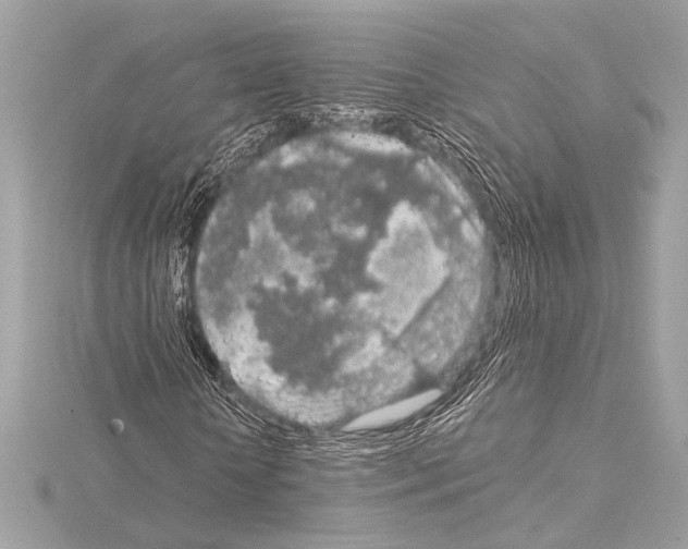 X0000115060818200912071149