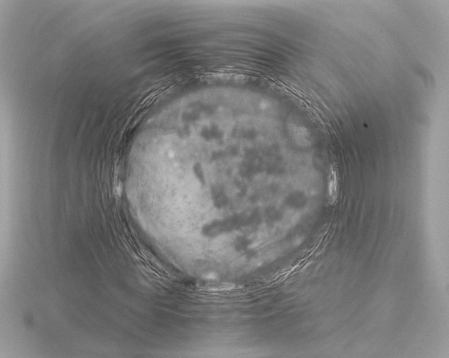 X0000115060819200912071149