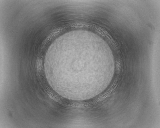 X0000115060820200912071149