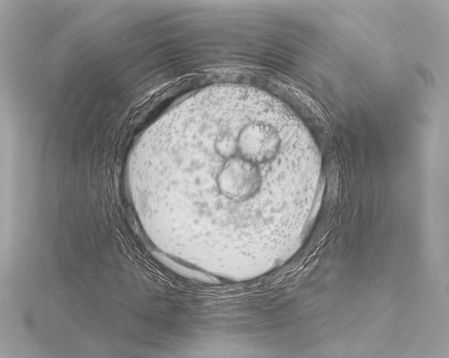 X0000115060821200912071149