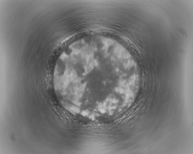 X0000115060822200912071149