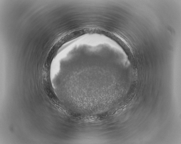 X0000115060823200912071149