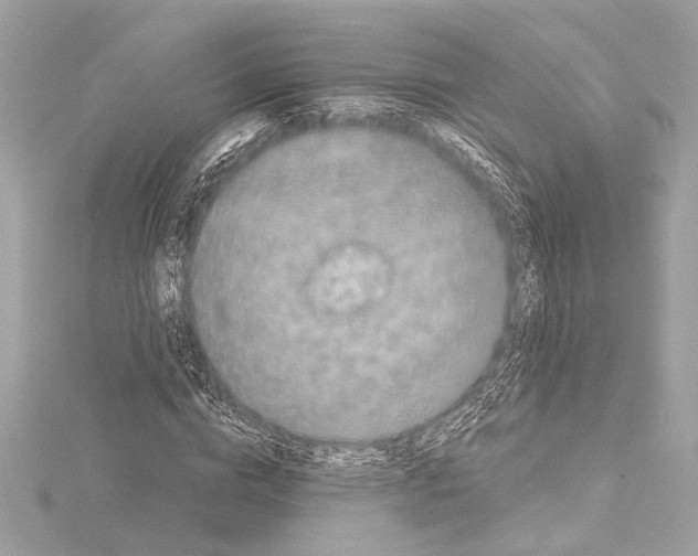 X0000115060824200912071149