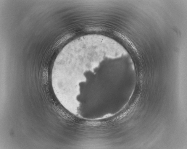 X0000115060825200912071149