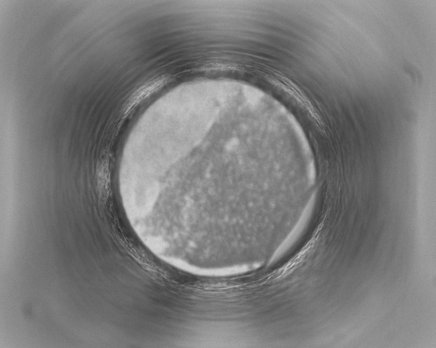 X0000115060826200912071149