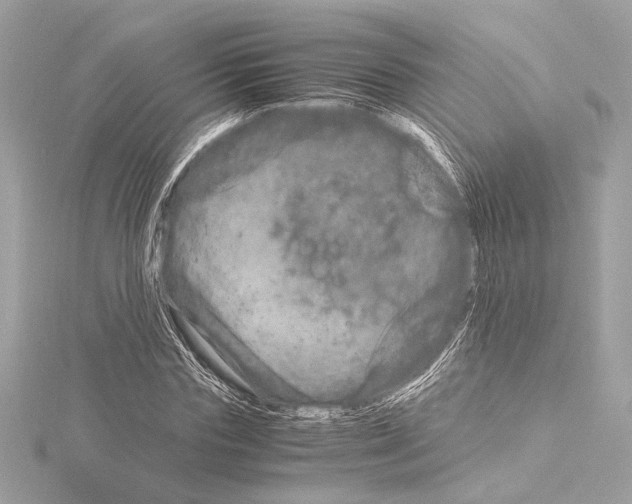 X0000115060827200912071149