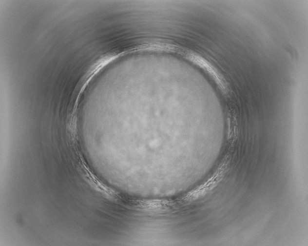 X0000115060828200912071149