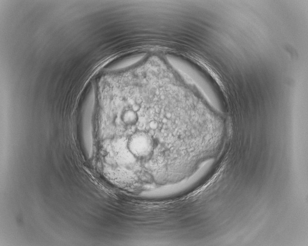 X0000115060829200912071149