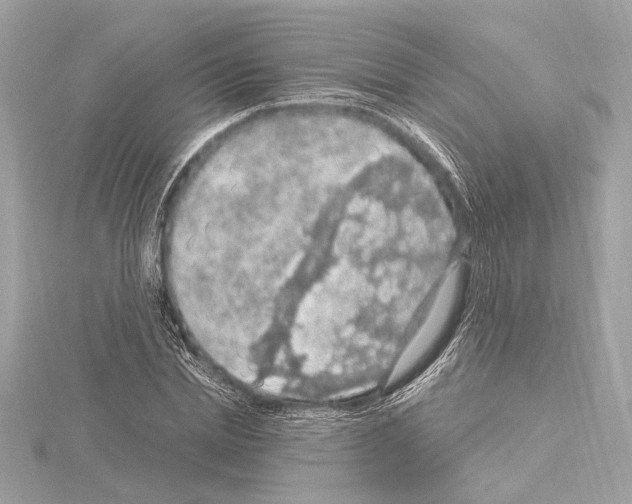 X0000115060830200912071149