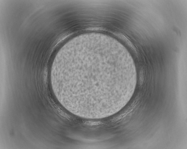 X0000115060831200912071149