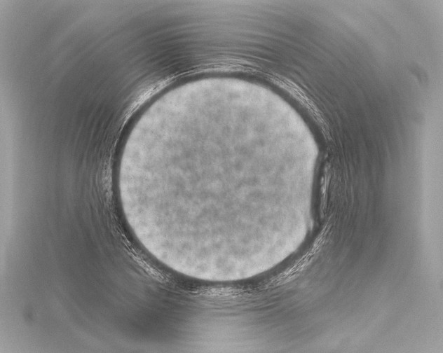 X0000115060834200912071149