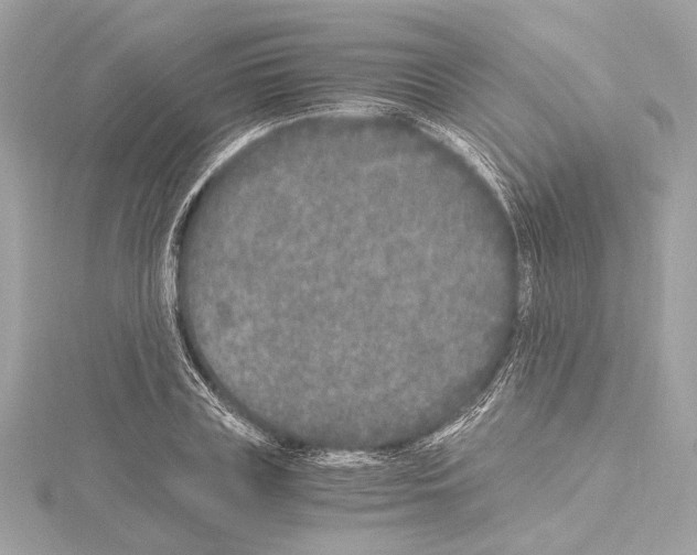 X0000115060835200912071149