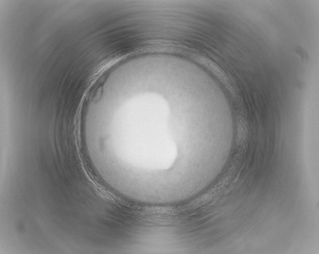 X0000115060836200912071149