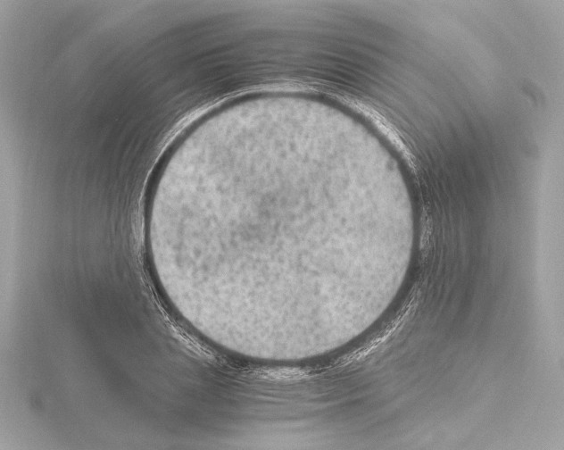 X0000115060837200912071149