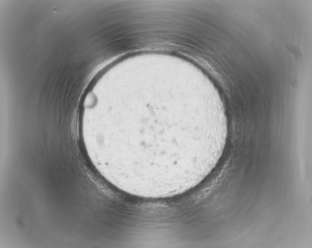 X0000115060838200912071149