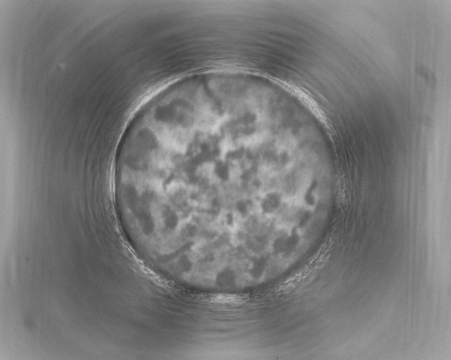 X0000115060839200912071149