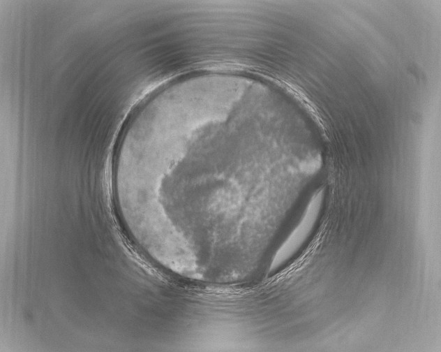 X0000115060840200912071149