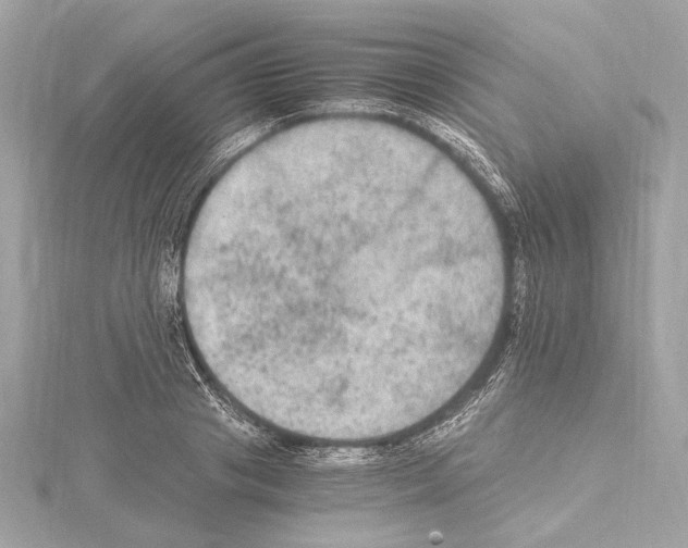 X0000115060841200912071149