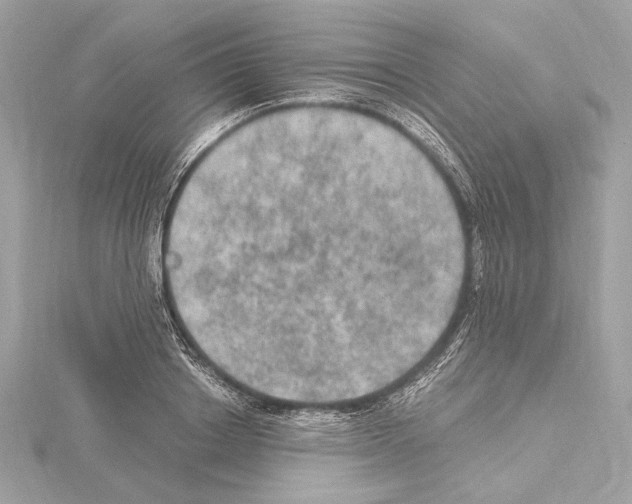 X0000115060842200912071149